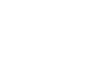 brex-logo-300x200-white