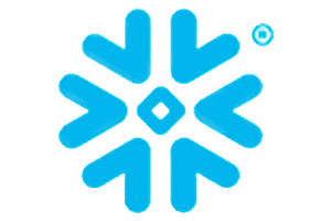 Snowflake