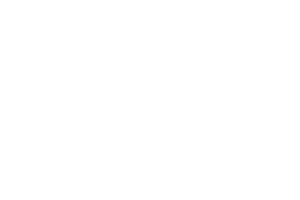 pp-dynamics-logo-white-2