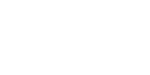 pp-dynamics-logo-white
